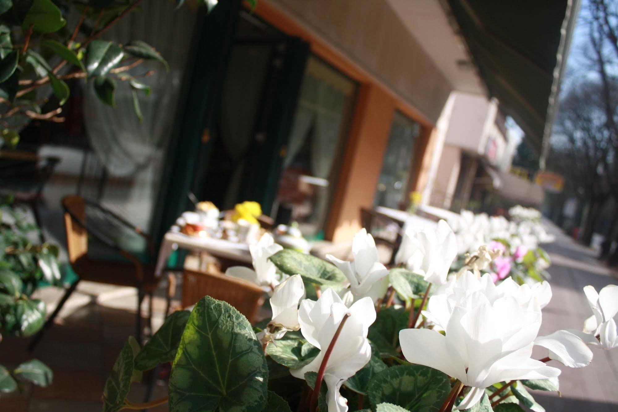 Hotel Damodoro Pordenone Eksteriør billede